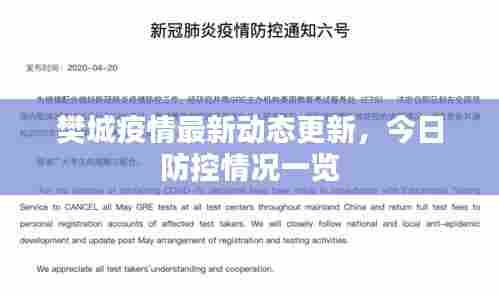 樊城疫情最新动态更新，今日防控情况一览