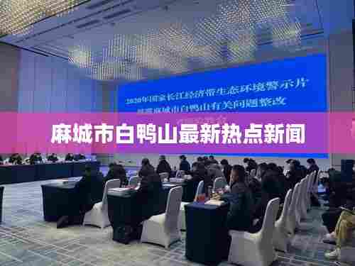 麻城市白鸭山最新热点新闻