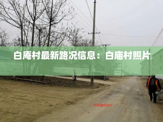 白庵村最新路况信息:白庙村照片