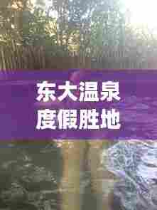 东大温泉度假胜地游玩攻略