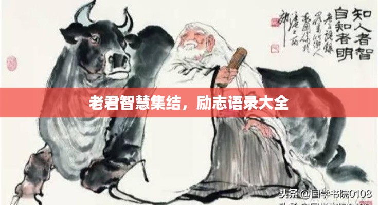 老君智慧集结,励志语录大全