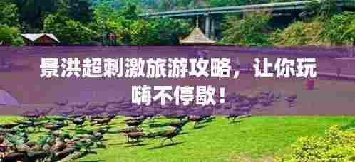 景洪超刺激旅游攻略,让你玩嗨不停歇!