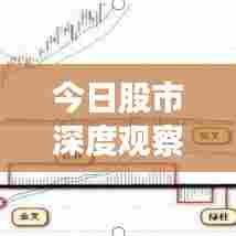 鸟啼花怨 第4页