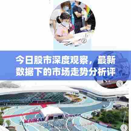 今日股市深度观察,最新数据下的市场走势分析评论