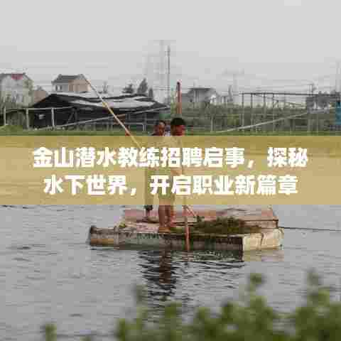 金山潜水教练招聘启事,探秘水下世界,开启职业新篇章