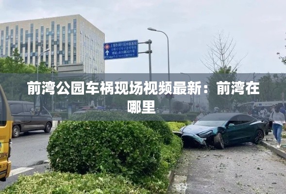 前湾公园车祸现场视频最新：前湾在哪里 