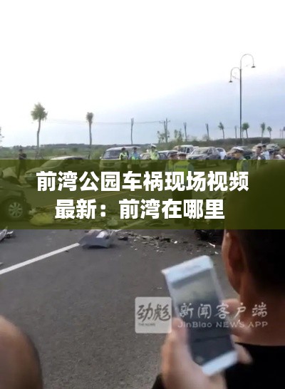 前湾公园车祸现场视频最新:前湾在哪里