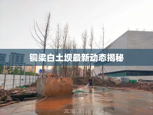 铜梁白土坝最新动态揭秘