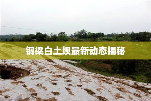铜梁白土坝最新动态揭秘