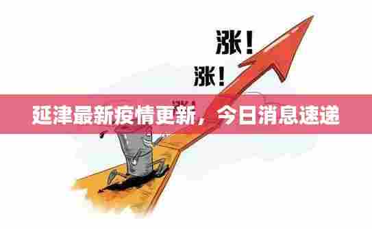 延津最新疫情更新，今日消息速递