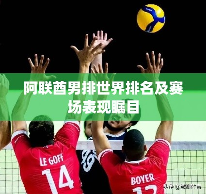 阿联酋男排世界排名及赛场表现瞩目