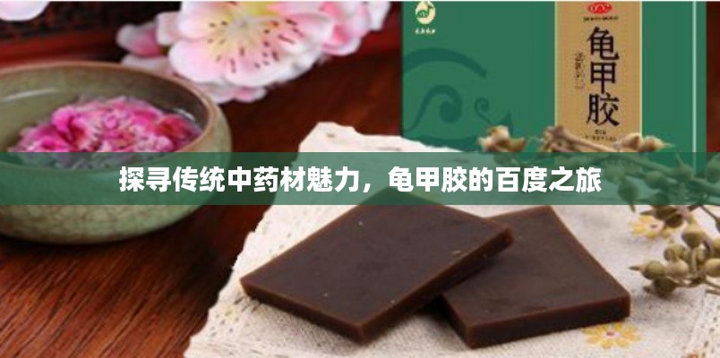 探寻传统中药材魅力，龟甲胶的百度之旅