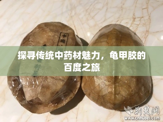 探寻传统中药材魅力,龟甲胶的百度之旅