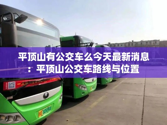 平顶山有公交车么今天最新消息:平顶山公交车路线与位置