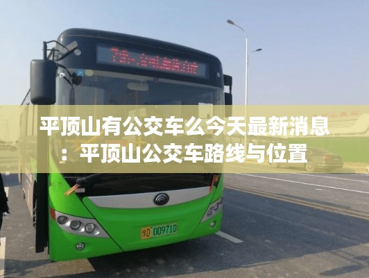 平顶山有公交车么今天最新消息:平顶山公交车路线与位置