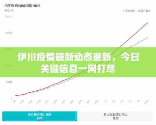 伊川疫情最新动态更新，今日关键信息一网打尽
