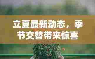 立夏最新动态，季节交替带来惊喜！