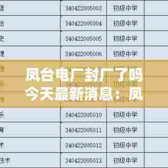 凤台电厂封厂了吗今天最新消息：凤台电厂最新招聘信息 