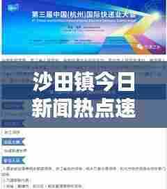 沙田镇今日新闻热点速递