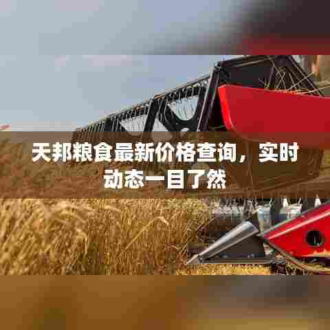 天邦粮食最新价格查询,实时动态一目了然