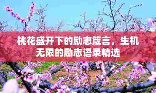 桃花盛开下的励志箴言，生机无限的励志语录精选