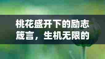 桃花盛开下的励志箴言,生机无限的励志语录精选
