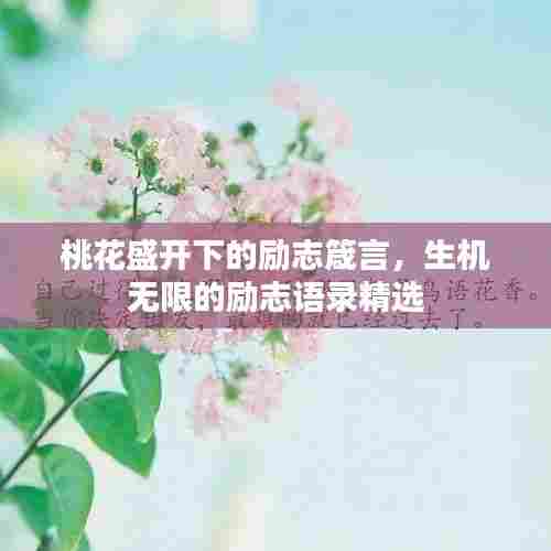 桃花盛开下的励志箴言,生机无限的励志语录精选