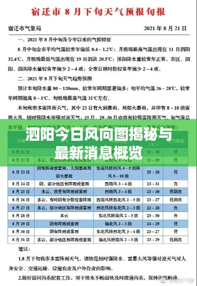 泗阳今日风向图揭秘与最新消息概览