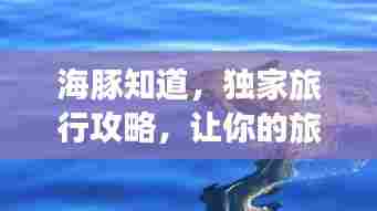海豚知道,独家旅行攻略,让你的旅程更精彩!