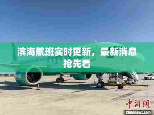 滨海航班实时更新,最新消息抢先看