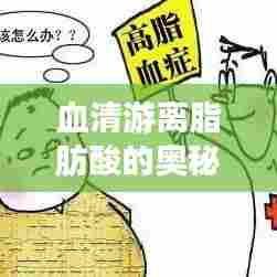 血清游离脂肪酸的奥秘揭秘,深入了解,百度权威解读