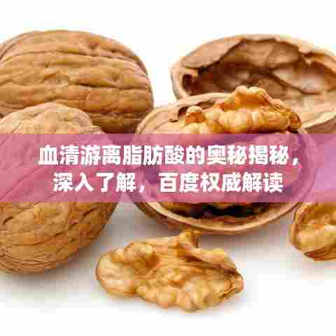 血清游离脂肪酸的奥秘揭秘,深入了解,百度权威解读