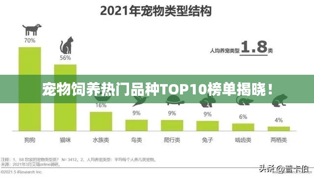 宠物饲养热门品种TOP10榜单揭晓!