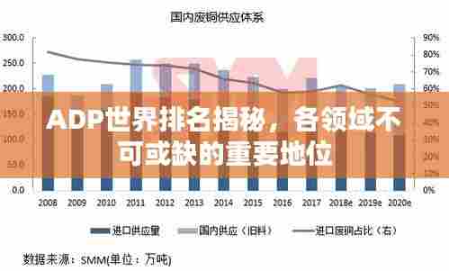 ADP世界排名揭秘,各领域不可或缺的重要地位