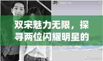 双宋魅力无限,探寻两位闪耀明星的百度风采