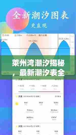 荣华富贵 第4页