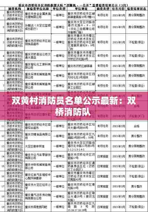 双黄村消防员名单公示最新:双桥消防队