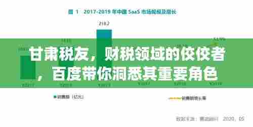 甘肃税友,财税领域的佼佼者,百度带你洞悉其重要角色