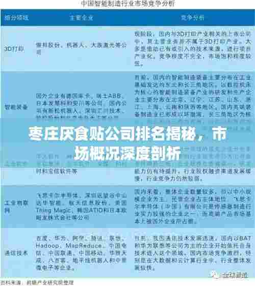 枣庄厌食贴公司排名揭秘，市场概况深度剖析