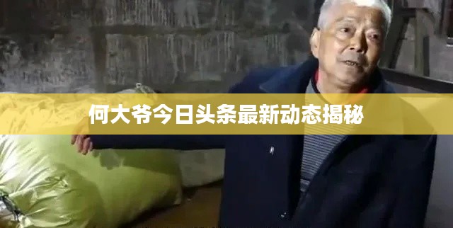 何大爷今日头条最新动态揭秘