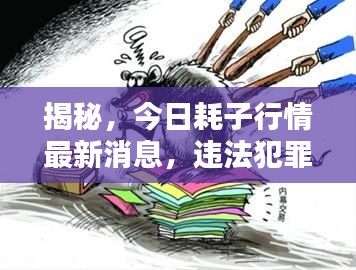 揭秘,今日耗子行情最新消息,违法犯罪背后的真相全揭露!