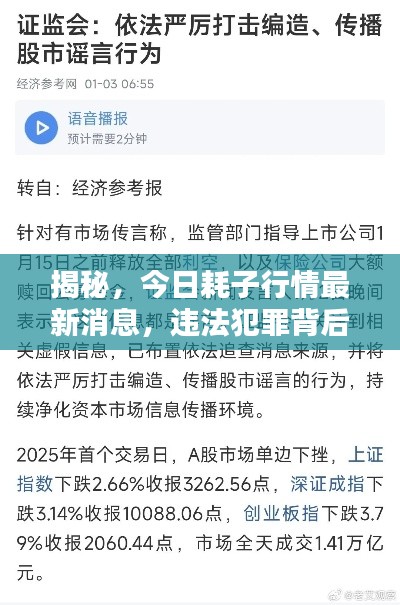揭秘,今日耗子行情最新消息,违法犯罪背后的真相全揭露!