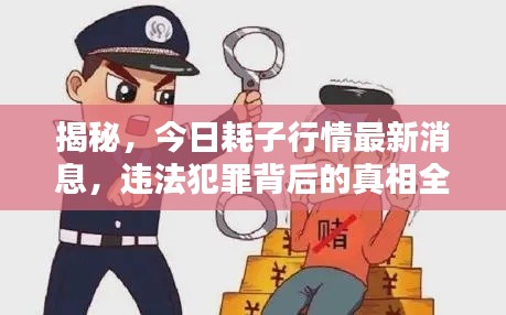 揭秘,今日耗子行情最新消息,违法犯罪背后的真相全揭露!