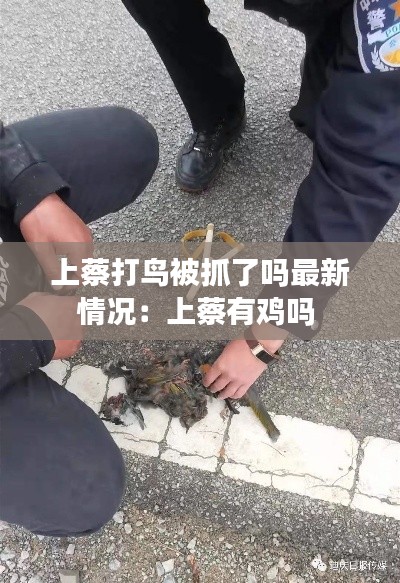 上蔡打鸟被抓了吗最新情况：上蔡有鸡吗 