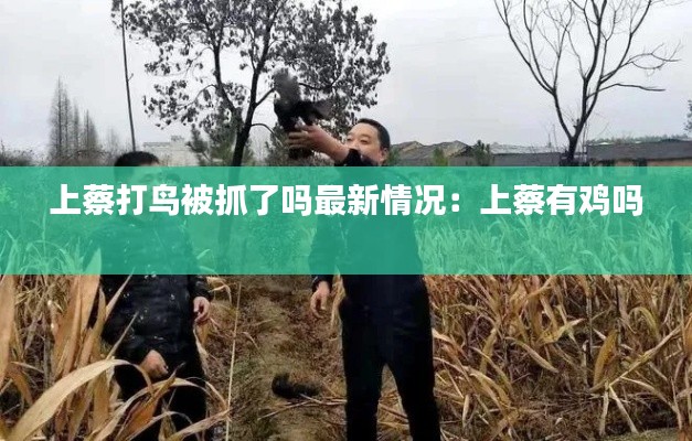 上蔡打鸟被抓了吗最新情况:上蔡有鸡吗