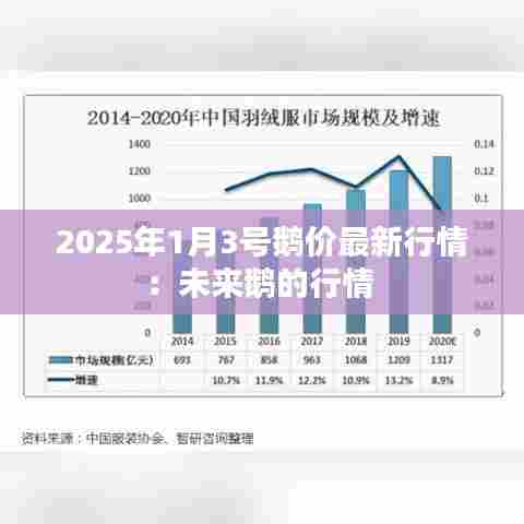 2025年1月3号鹅价最新行情:未来鹅的行情