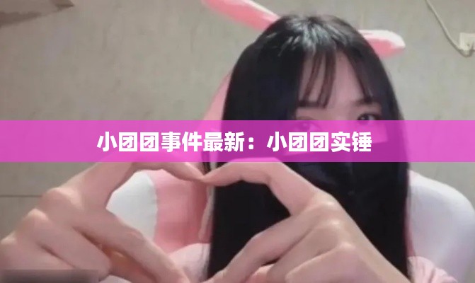 小团团事件最新:小团团实锤
