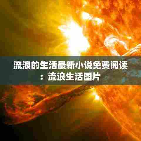 流浪的生活最新小说免费阅读:流浪生活图片