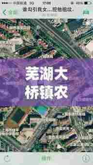 芜湖大桥镇农贸市场位置地图最新：芜湖市大桥镇饭店 