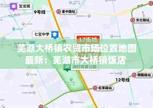 芜湖大桥镇农贸市场位置地图最新:芜湖市大桥镇饭店